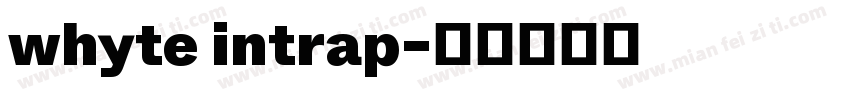whyte intrap字体转换